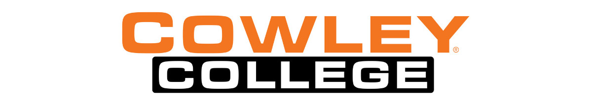 Bronze sponsor logo