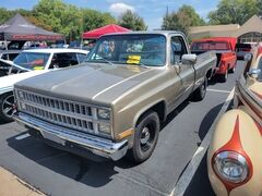 Doyle & Earlene Phillips - 1982 Chevy Pickup