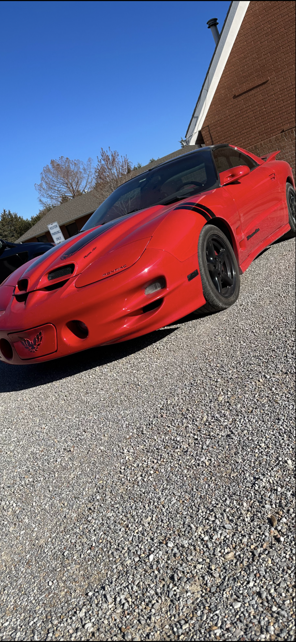 Cary & Paula Ziesenis - 1999 WS6 Trans Am
