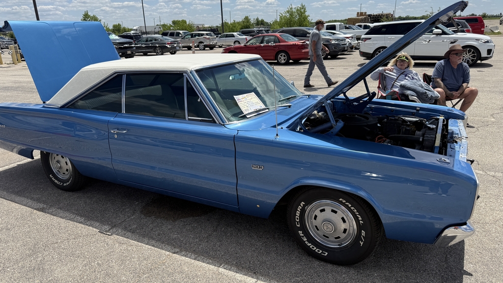 Gallery photo 172