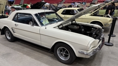 Gallery photo 64