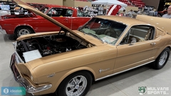 Gallery photo 103