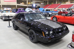 Gallery photo 107