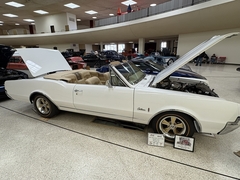 Gallery photo 18