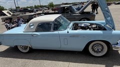 Gallery photo 169