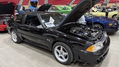 Gallery photo 69