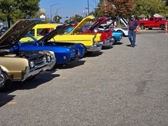 Gallery photo 13