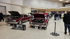 Gallery photo 45
