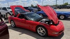 Gallery photo 155