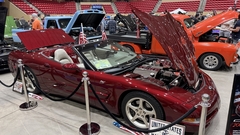 Gallery photo 19