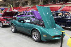 Gallery photo 45